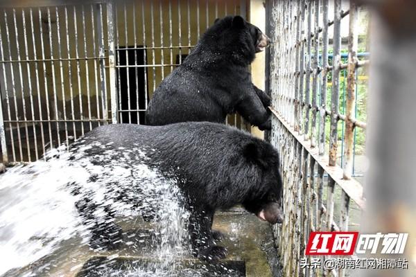 池子生活小妙招，提升生活品质的实用技巧